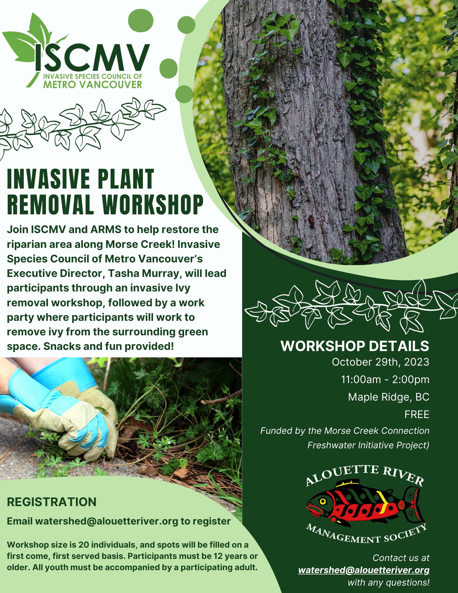 Invasive Plant Removal Workshop - Oct 2023 photo