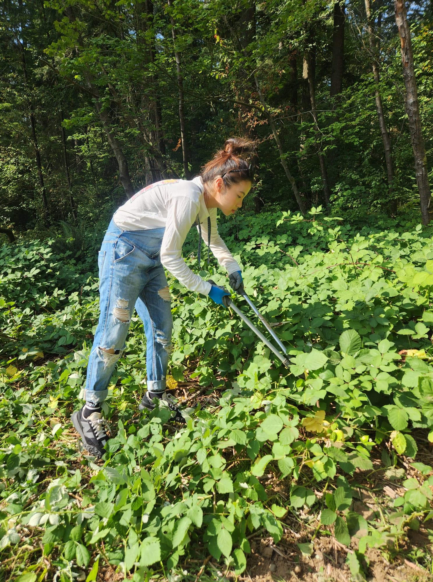 Invasive Plant Pull in Central Park - May 2023 photo