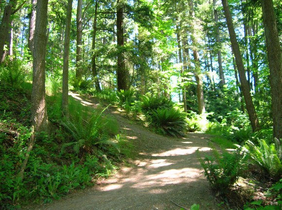 Plant Walk at Watershed Park photo