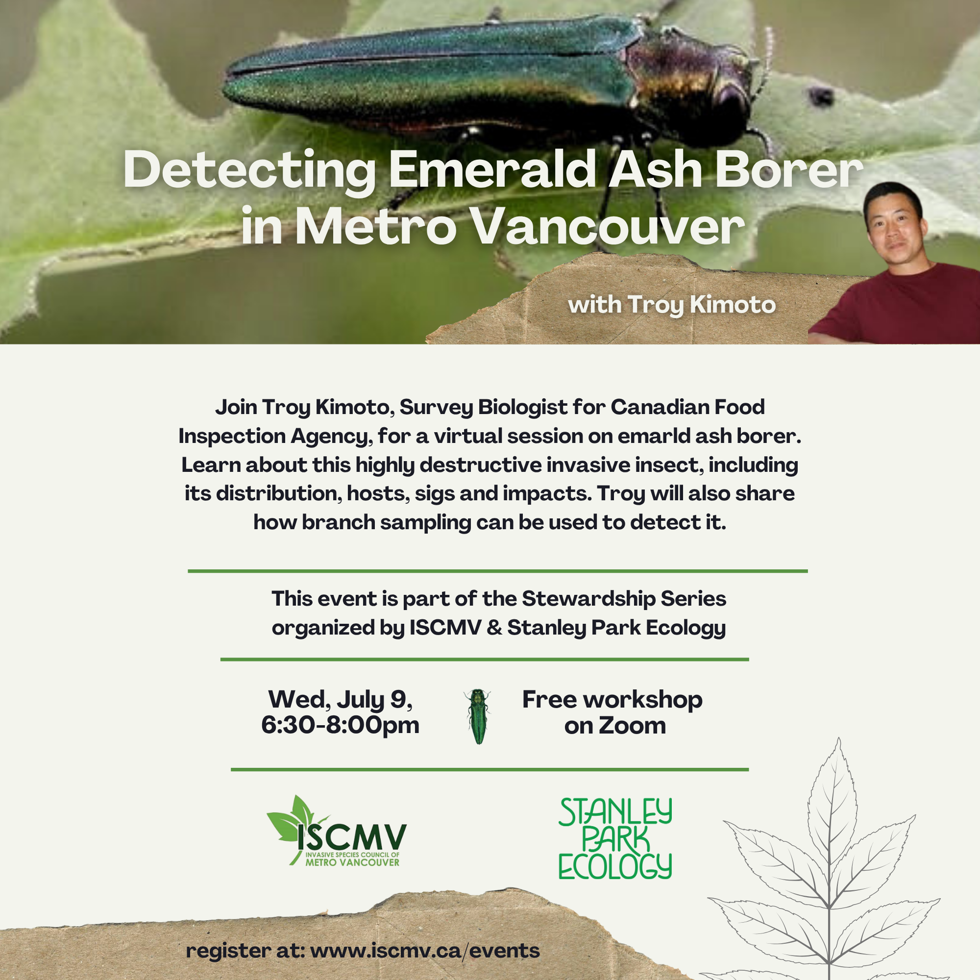 Detecting Emerald Ash Borer in Greater Vancouver photo