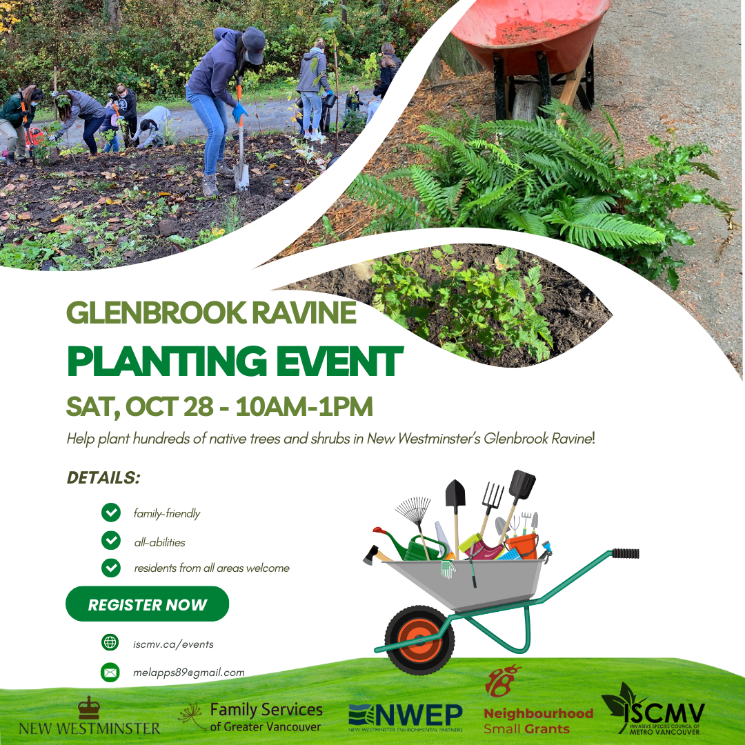 Glenbrook Ravine Planting - Oct 2023 photo