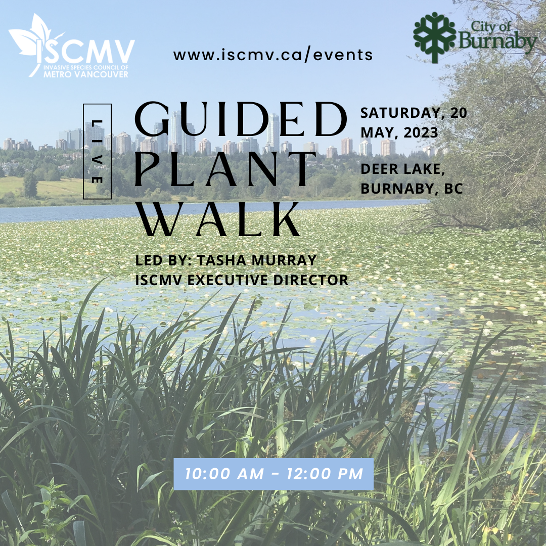 Guided Plant Walk - May 2023 photo