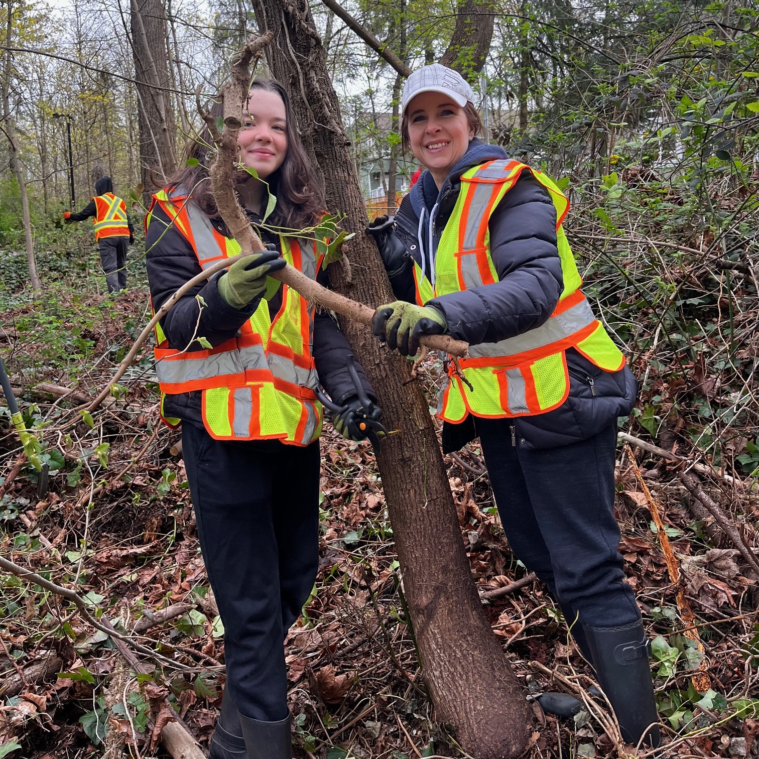 Invasive Pull - Champlain Heights Trails, Vancouver photo