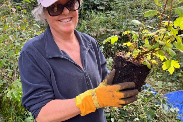 Indigenous Species Planting & Invasive Pull - Everett Crowley Park, Vancouver photo