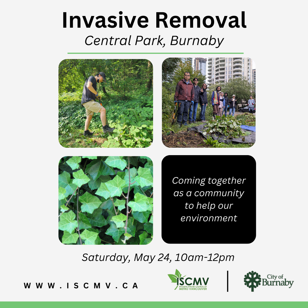 Burnaby Stewardship - Central Park photo