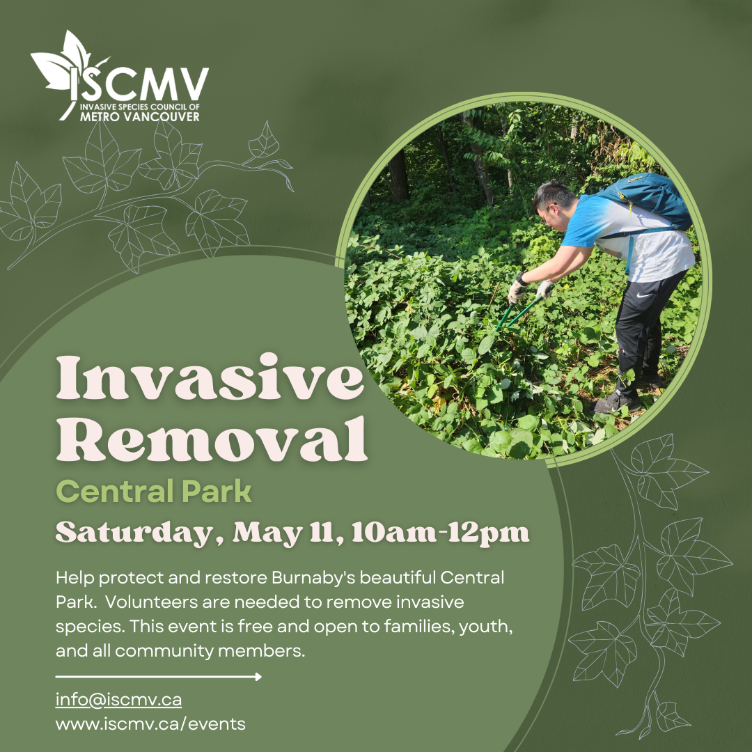 Burnaby Stewardship: Central Park - May 2024 photo