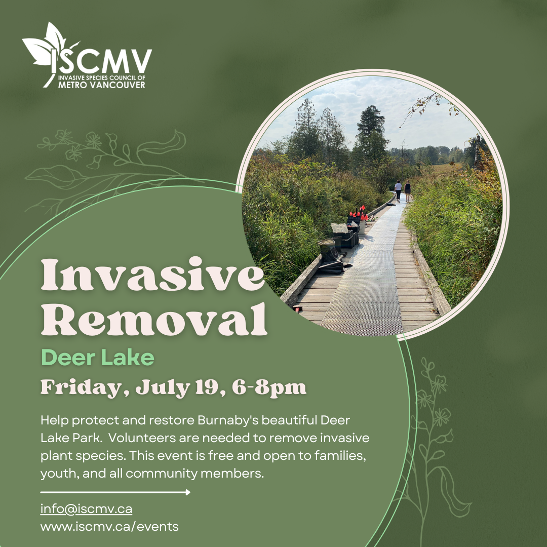 Burnaby Stewardship: Deer Lake - July 19 2024 photo