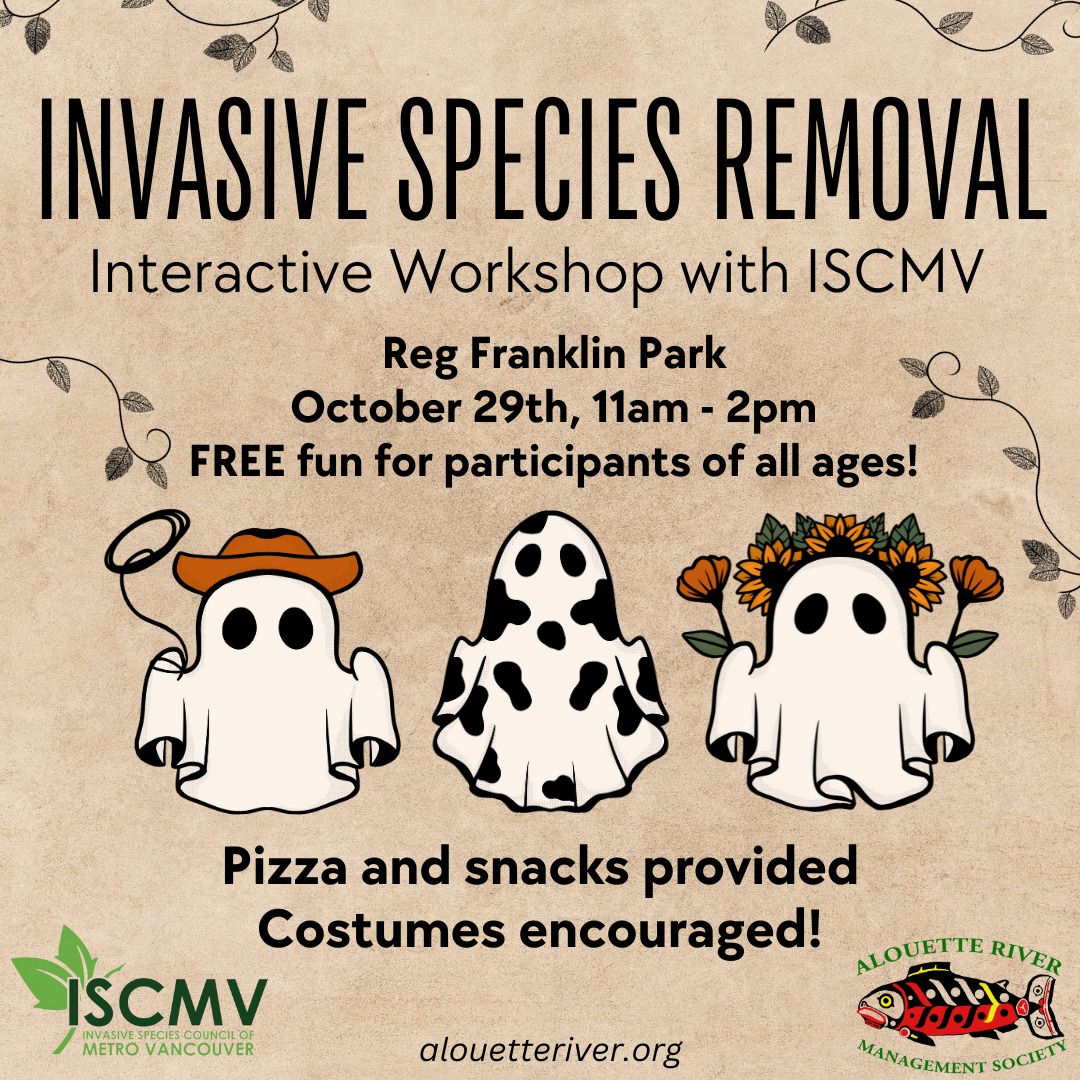 ARMS Invasive Species Removal - Oct 2023 photo