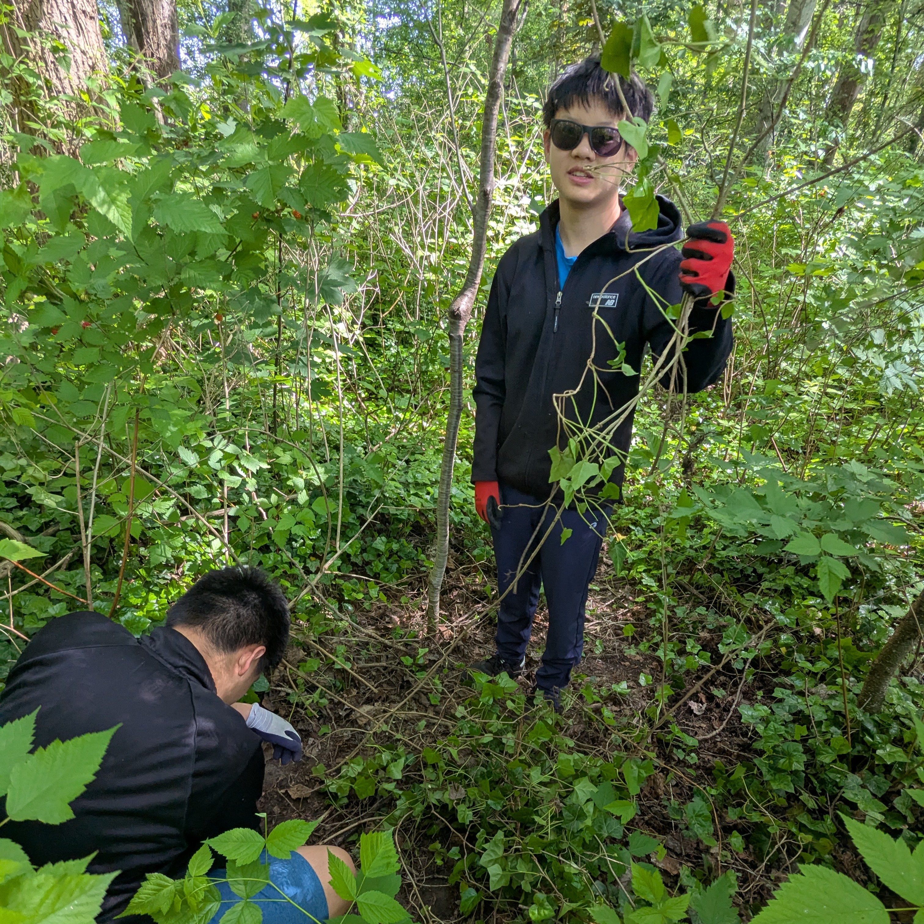 Ready, Set, Pull! - Ladner Habour Park, Delta photo