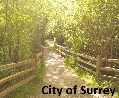Meeting with Plants - A Guided Walk in Surrey photo