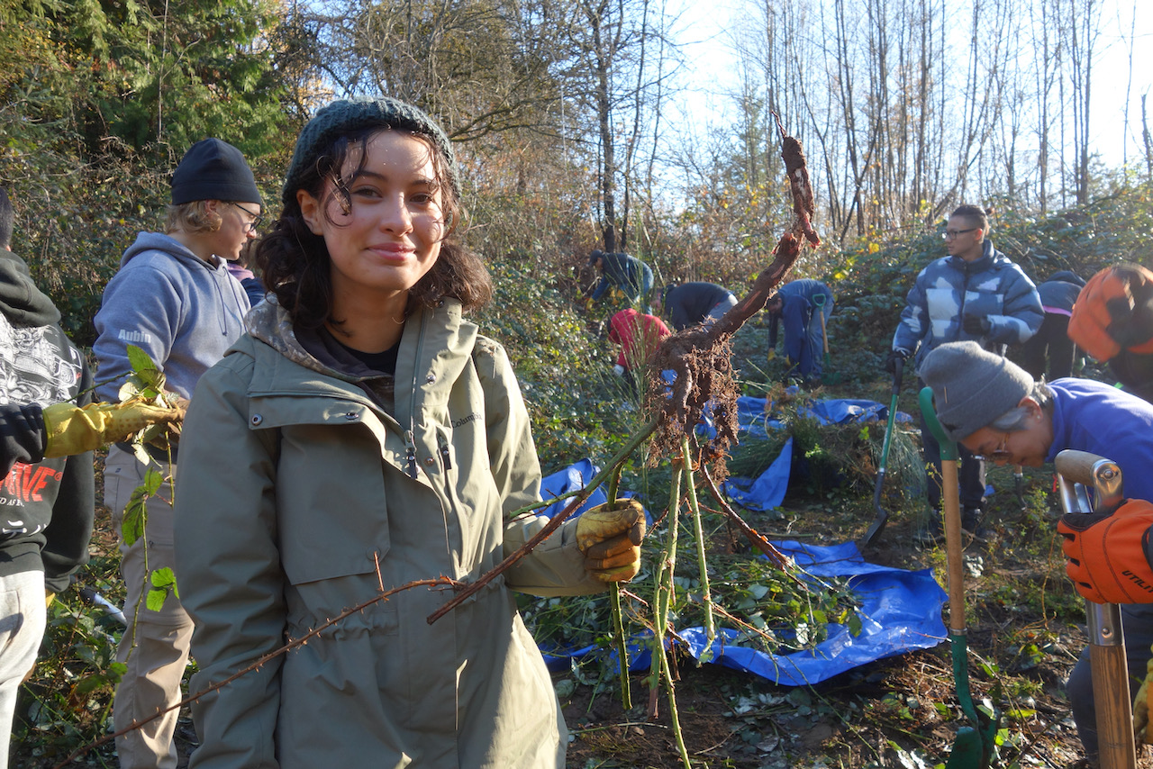 Park Stewardship in Everett Crowley Park - May 11, 2024 photo