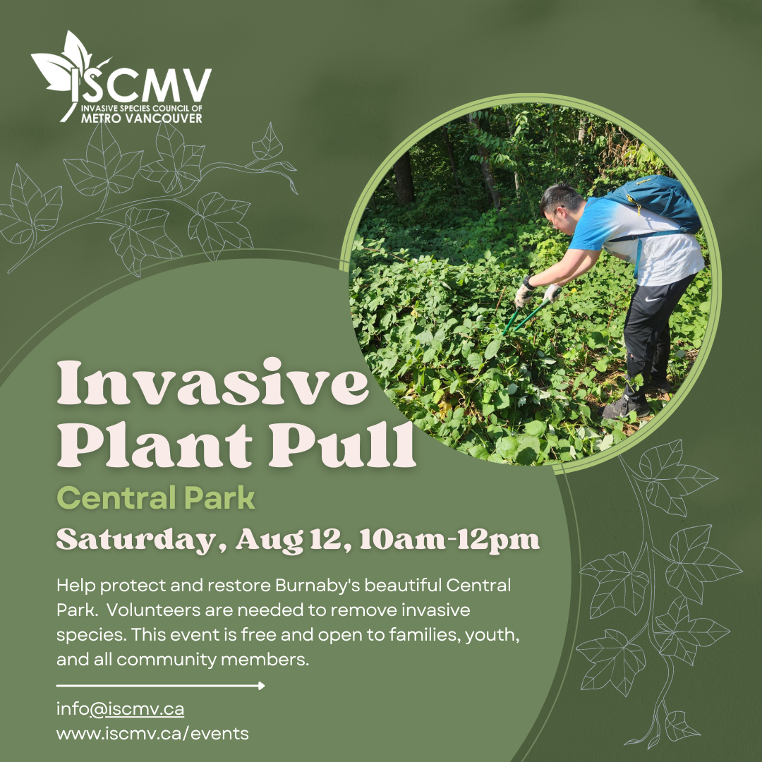 Invasive Plant Pull at Central Park - Aug 2023 photo