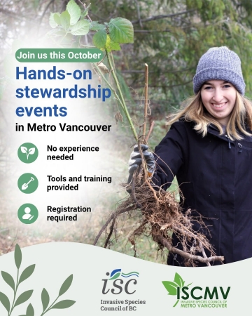 Stewardship Event - Rocky Point Park, Port Moody photo