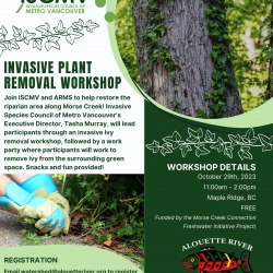Invasive Plant Removal Workshop - Oct 2023 photo