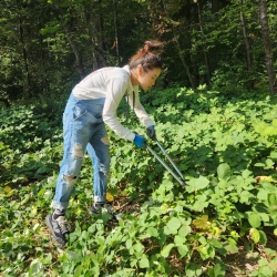Invasive Plant Pull in Central Park - May 2023 photo