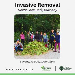 Invasive Removal - Deer Lake - July 26 photo
