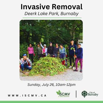 Invasive Removal - Deer Lake - July 26 photo