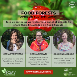 Stewardship Series: Food Forests photo