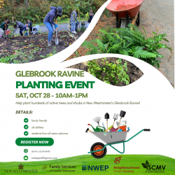 Glenbrook Ravine Planting - Oct 2023 photo