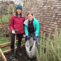 Growing Green and Fighting Invasive Plants (online) - May 2023 photo