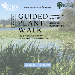 Guided Plant Walk - May 2023 photo