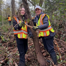 Invasive Pull - Champlain Heights Trails, Vancouver photo