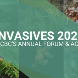 ISCBC 2023 Forum photo