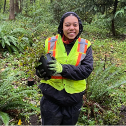 Indigenous Species Planting - Everett Crowley Park, Vancouver photo