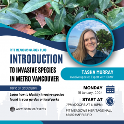 Introduction to Invasive Species in Metro Vancouver photo