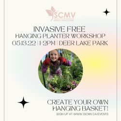 Invasive Free Species Hanging Planter Workshop - May 2023 photo