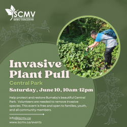 Invasive Plant Pull in Central Park - June 2023 photo