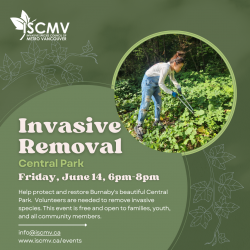 Burnaby Stewardship: Central Park - June 2024 photo