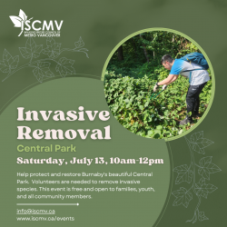 Burnaby Stewardship: Central Park - July 2024 photo
