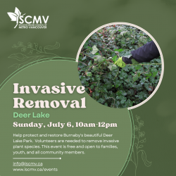 Burnaby Stewardship: Deer Lake - July 2024 photo