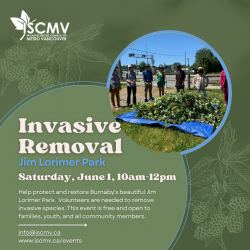 Burnaby Stewardship: Jim Lorimer Park - June 2024 photo