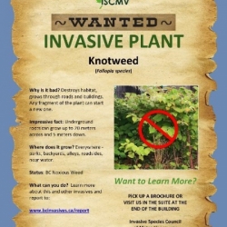 Invasives Coming to a Bathroom Near You? photo