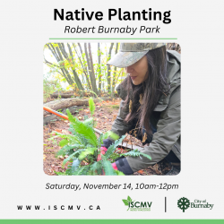 Native Planting - Robert Burnaby Park - Nov 2026 photo