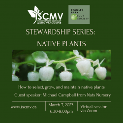 Stewardship Session - March 2022 photo