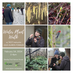 Stewardship Series: Winter Plant Walk with Julia Alards-Tomalin photo