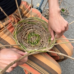 Ivy Basket Weaving at VanDusen Gardens photo