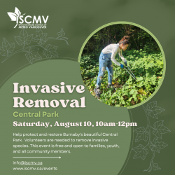 Burnaby Stewardship: Central Park - Aug 2024 photo
