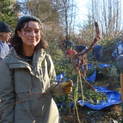 Park Stewardship in Everett Crowley Park - May 11, 2024 photo