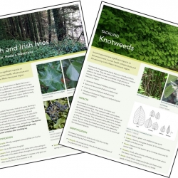 Invasive Species Fact Sheets Available photo